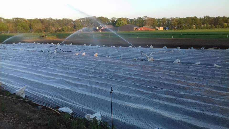 Lensink Aardappelen - Beregenen